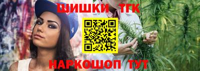 apvp Гусев