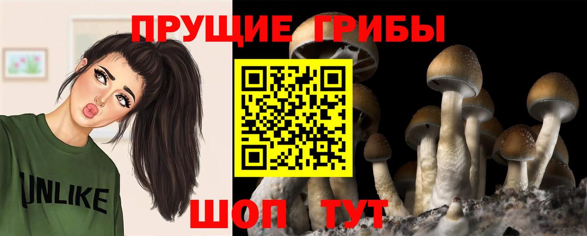 Псилоцибиновые грибы MAGIC MUSHROOMS  Вход с VPN  Надым 