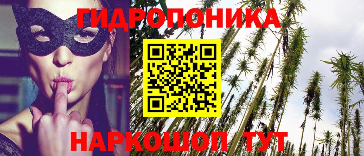 Шишки марихуана гибрид  Вход с VPN  Шишки марихуана тримм  Надым  Шишки марихуана сатива 